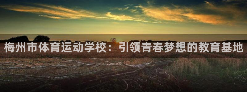 谈球吧体育