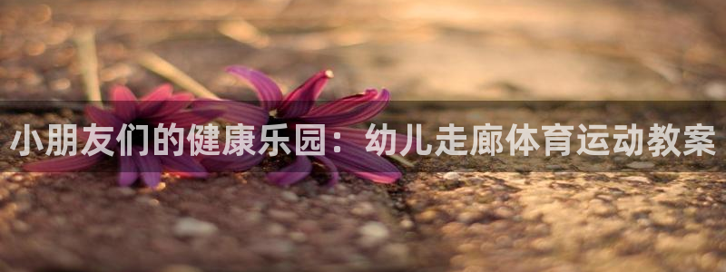 谈球吧体育
